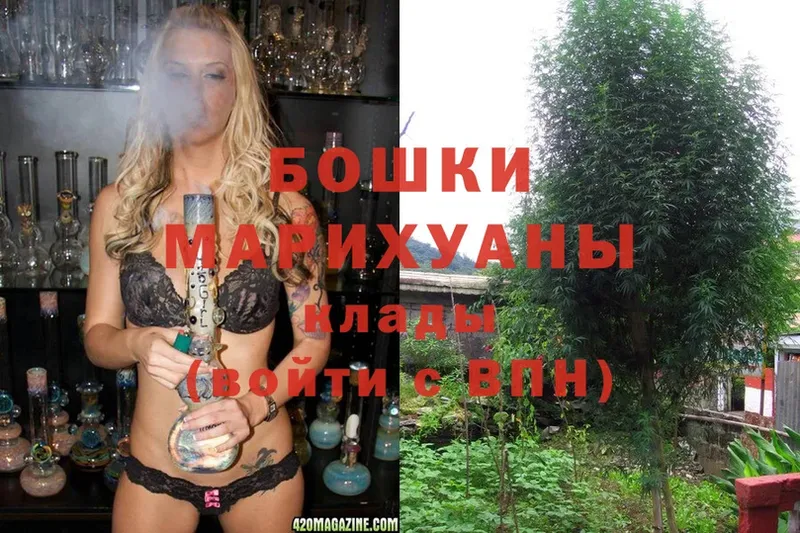 Каннабис White Widow  blacksprut зеркало  Дедовск 